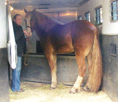 In Trailer