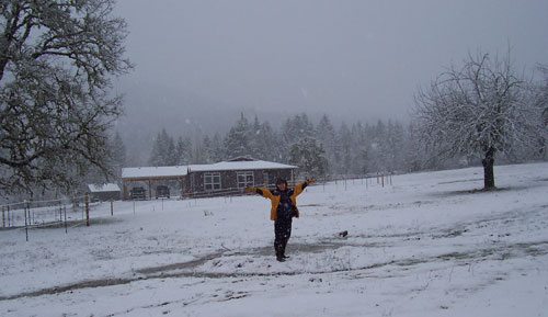 Winter Wonderland