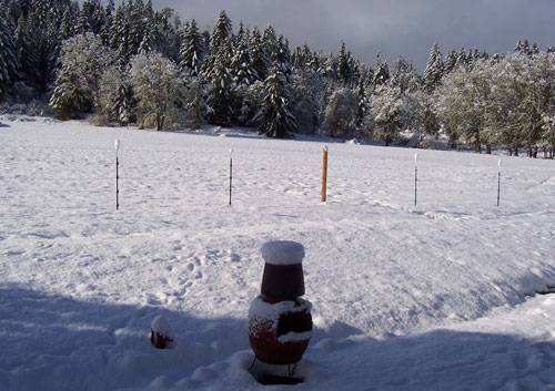 Snow