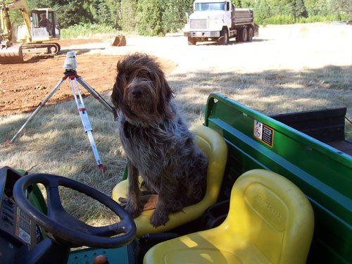 Lucy in Gator