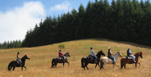 Trail Ride with friends