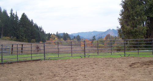 View from Round Pen looking West